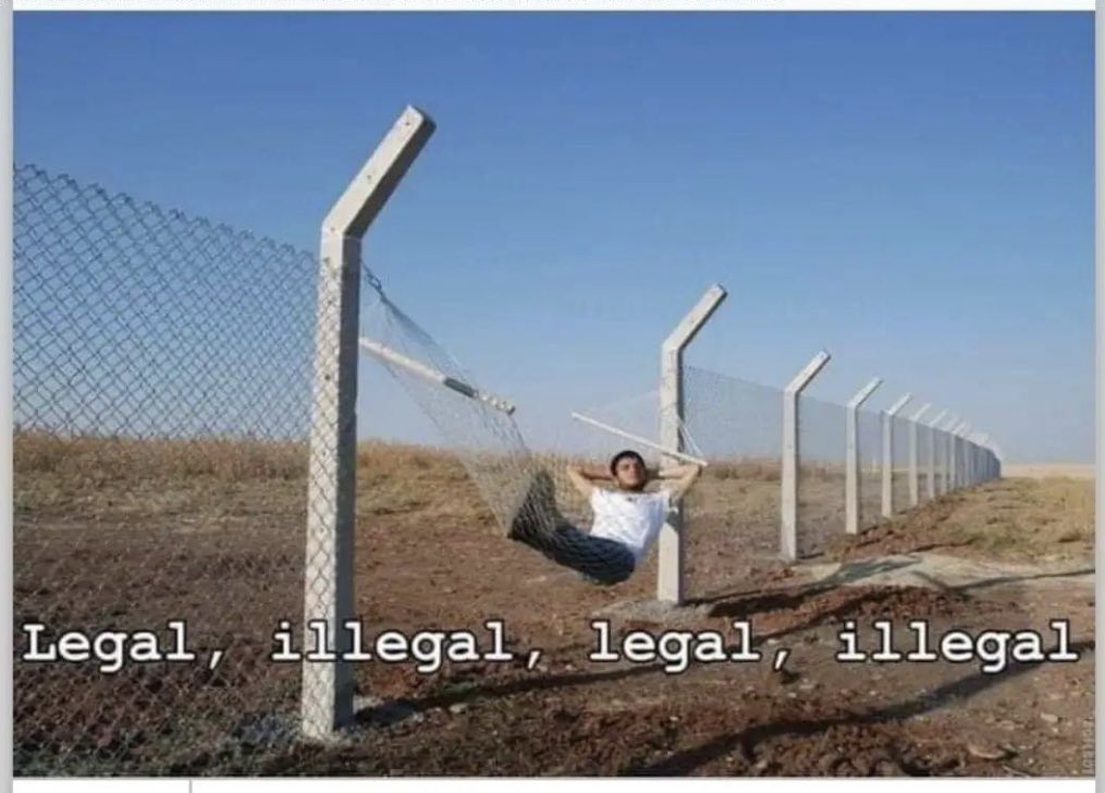 SallyMayweather's tweet image. 