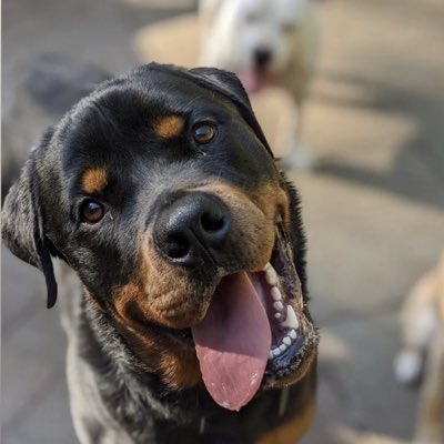 MarcusNieves's tweet photo. #NewProfilePic https://t.co/aeofdHdaA7