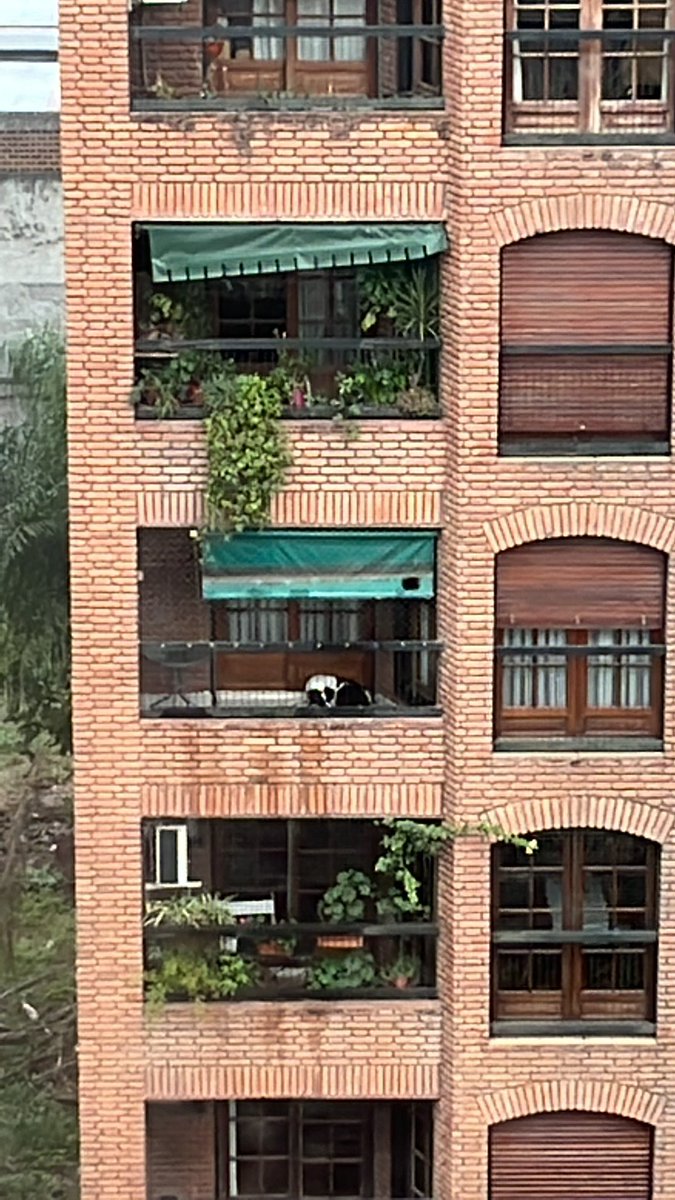 JosefinaBillone's tweet photo. Sin comida, sin agua, pasando frío y calor, bajo el rayo del sol o la lluvia. Durmiendo en el piso todo sucio. Av salta 600 https://t.co/pv7ugvN7Qn