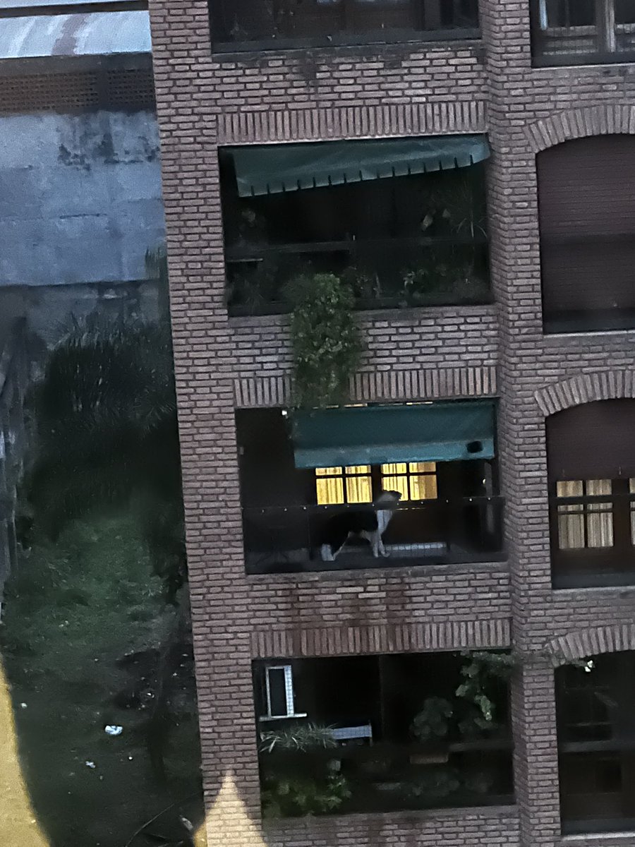 JosefinaBillone's tweet photo. Sin comida, sin agua, pasando frío y calor, bajo el rayo del sol o la lluvia. Durmiendo en el piso todo sucio. Av salta 600 https://t.co/pv7ugvN7Qn