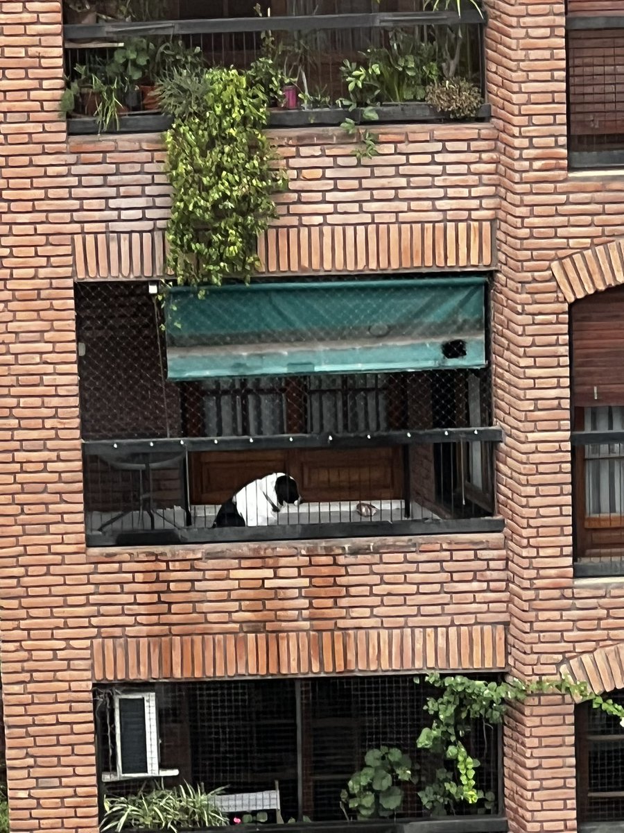JosefinaBillone's tweet photo. Sin comida, sin agua, pasando frío y calor, bajo el rayo del sol o la lluvia. Durmiendo en el piso todo sucio. Av salta 600 https://t.co/pv7ugvN7Qn
