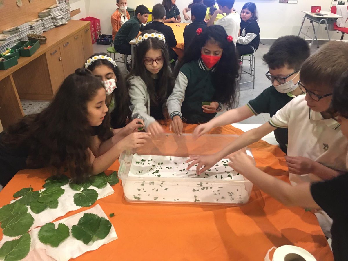 In our Ecology class, with regard to living beings, we got to learn about caterpillars . To make caterpillars lay their eggs, we made habitats for them out of mulberry leaves🐛🍃

@acrznp <a href="/EnisEryaman/">Enis Eryaman</a> #tuzladoğailkokulu #tuzladoğakoleji