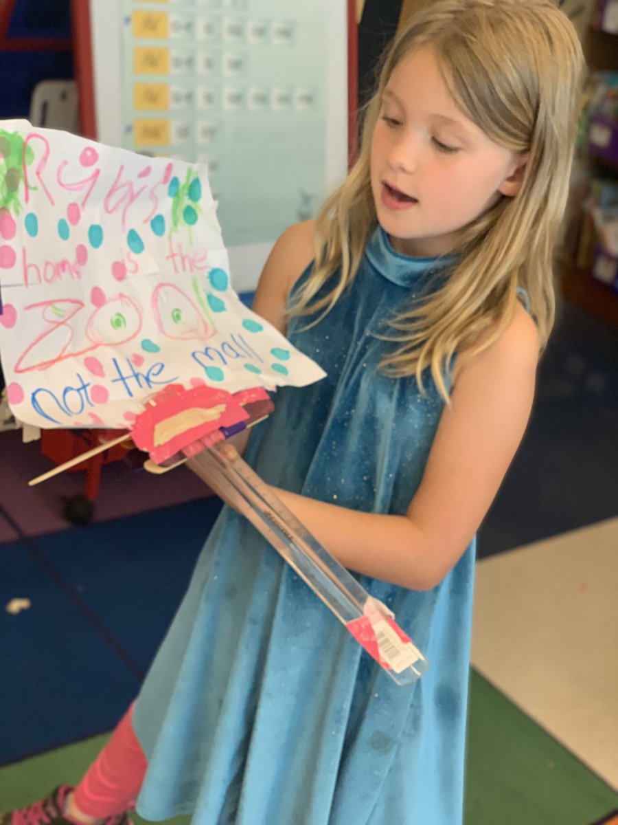 STEMbieda's tweet photo. Love the Novel Engineering going on in second grade! Look at @MsDReadsTooMuch dragons’ billboards! @sarapruett5 @TerryHarness @drjtoney @msbringslid #STEMifySPARK #STEMintoreading https://t.co/3r9sV0EKqy