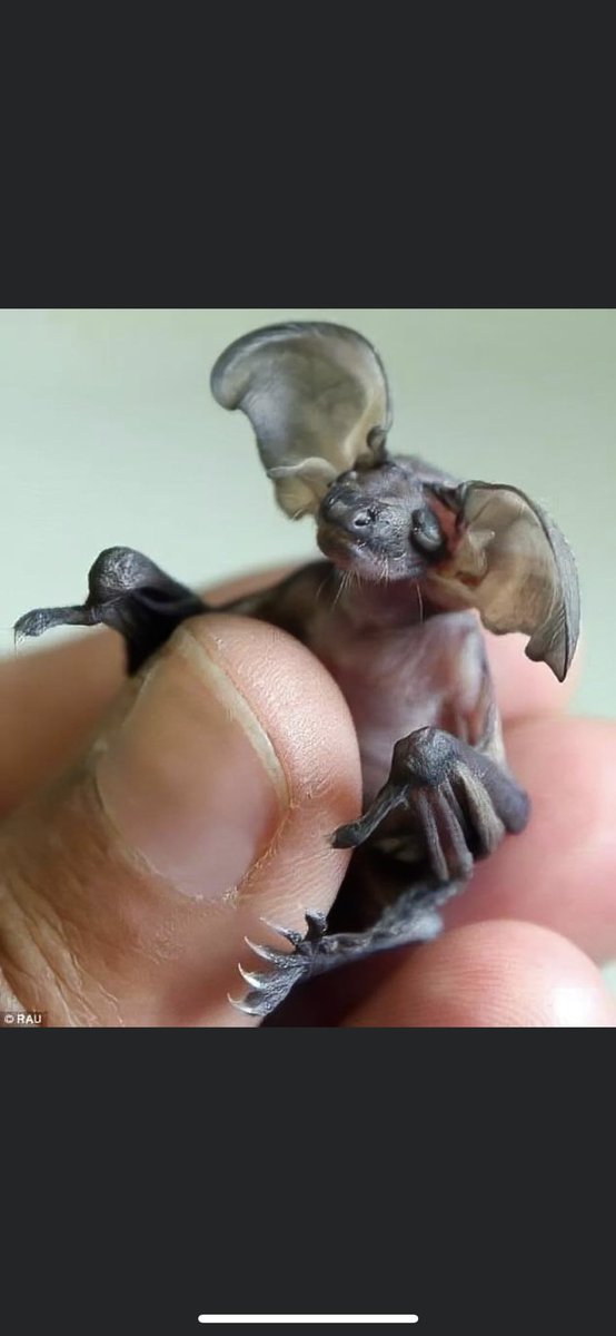 Hayley X 😉 tweet media