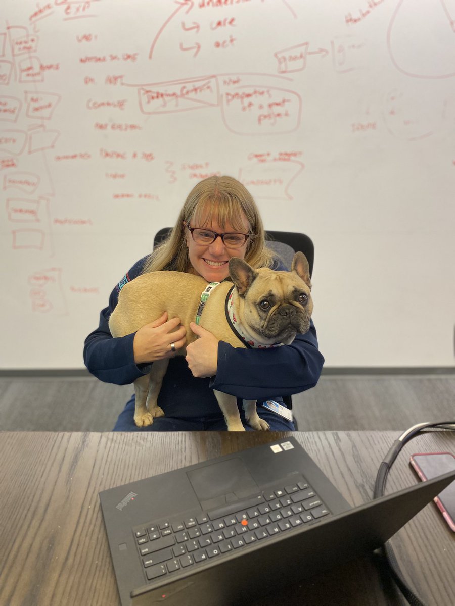 staceymakes's tweet photo. Had to bring my dog to work. We should hire her as the #msftgarage dog @MicrosoftLife https://t.co/JmxSp3JaS4