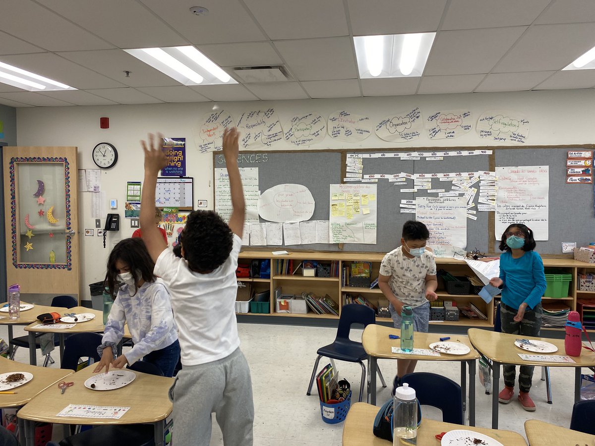 AnneSeniuk's tweet photo. Today we are investigating seeds!! Needless to say, milkweed seeds and maple seeds were the most popular!! @KanataHighlands https://t.co/hUZ8u55lju