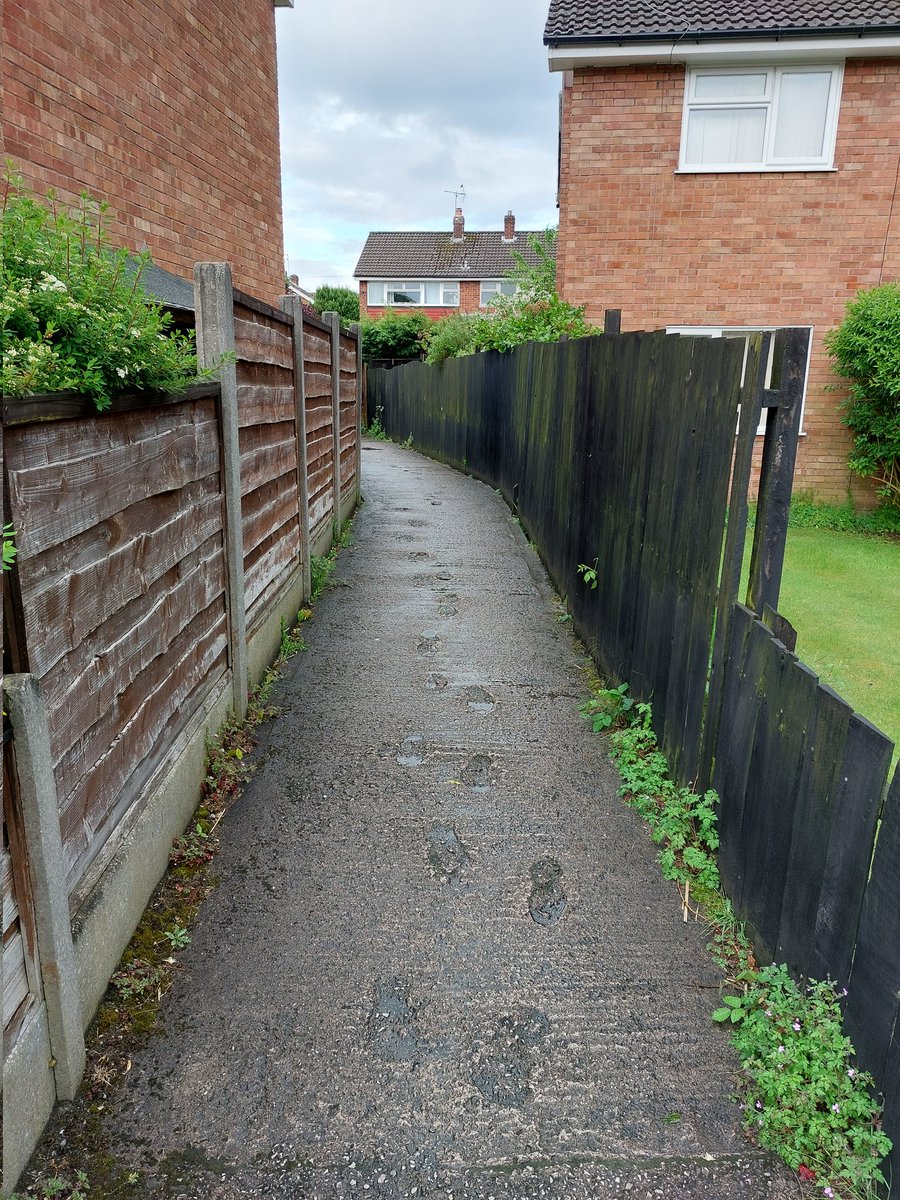 Rob Crossley tweet media