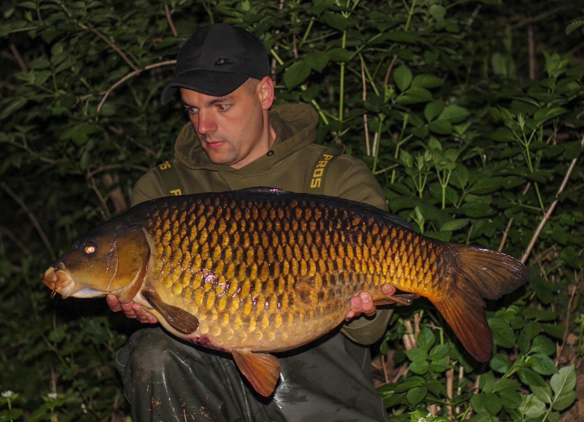 RGBaitsUK's tweet photo. Adam ‘Eggi’ Kirk has been back out on his usual overnighters and back into them. This common been the pick of the bunch of late

Mixing the ‘Prime’ and ‘The Formula + Arctic Crab’ boilie and giving them a good crush up. The bites have been coming consistently for Eggi

#RGBaits🇬🇧 https://t.co/OnAMXay8pN