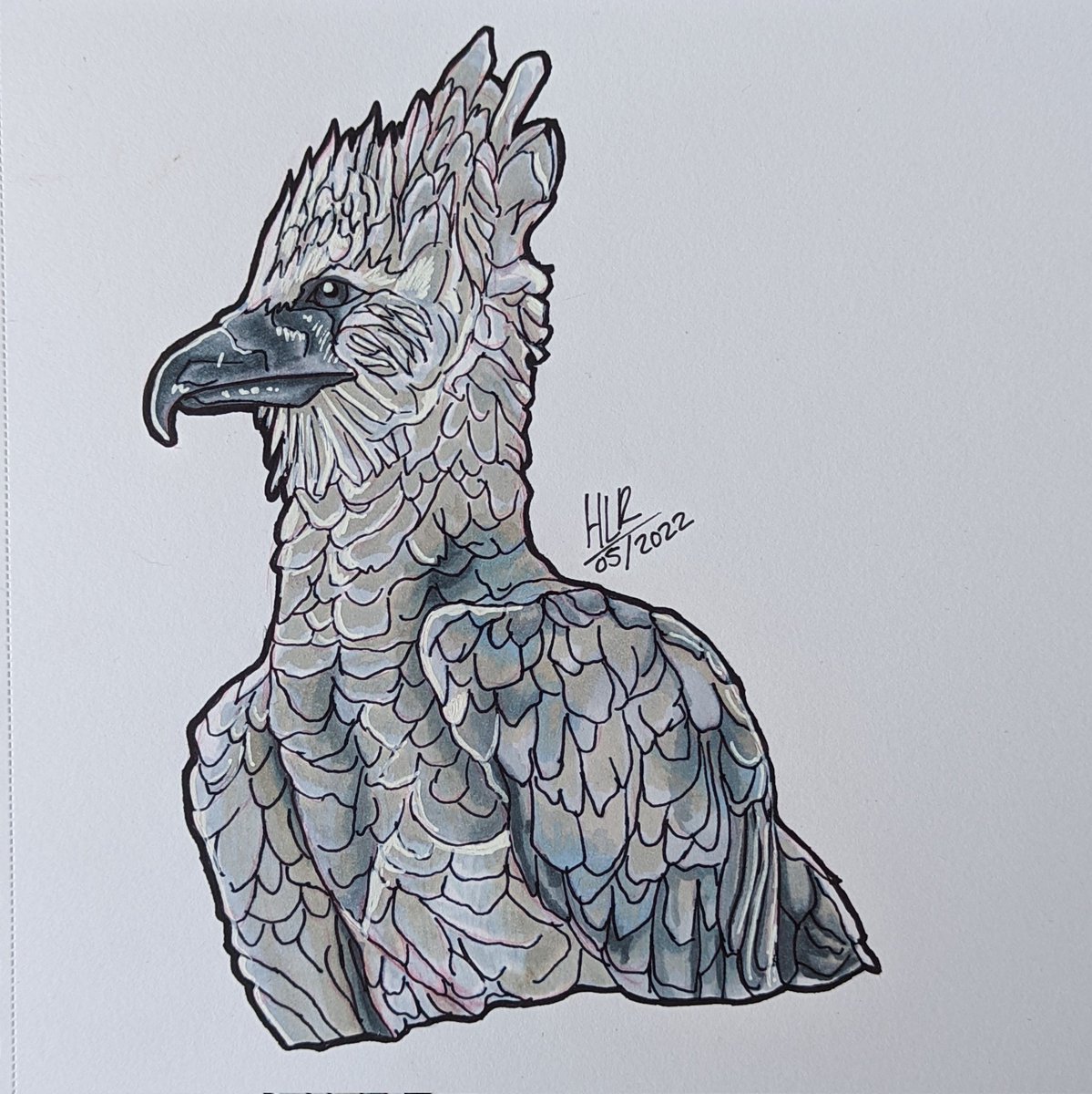 HLRillustrates's tweet photo. 🦅 • HARPY EAGLE ILLUSTRATION •
https://t.co/1hOq4IQHAT
❤️ and 🔁 are appreciated
@artezaofficial everblend markers used
#everblend #Arteza #illustration #artistsontwitter #artist #art #drawing https://t.co/olzC8hC27s