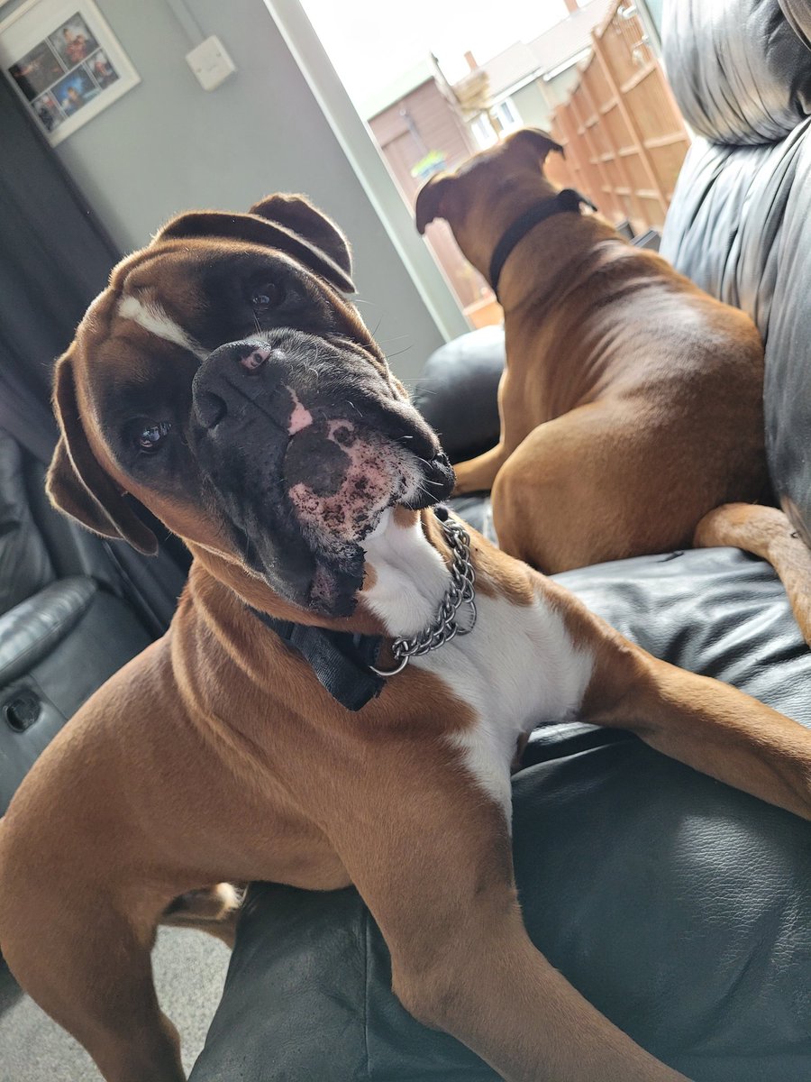 VickyPi58840741's tweet image. I've not been eating mud mum!! I promise 😂😂😂