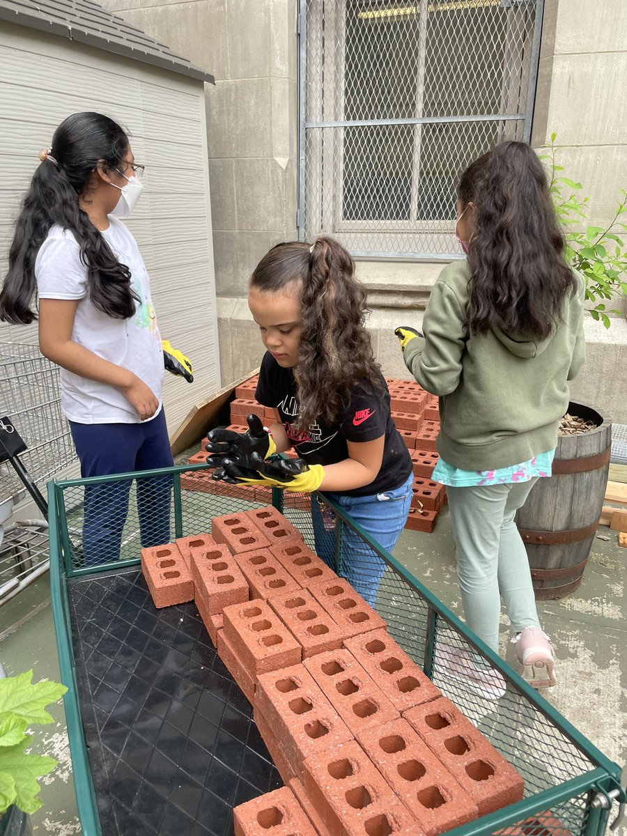 Magnet157's tweet photo. 3K enjoying our new picnic reading area and elementary volunteers figuring out the design of our soon to be spiral herb garden… @NYCGreenThumb @ESYNYC @NYCDOED14 @NYCSchools #gardening #pbl https://t.co/IXmg5t8QzI