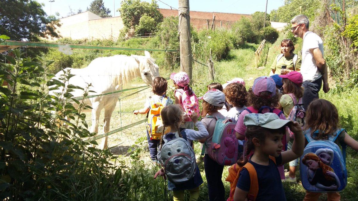 vedrunacent's tweet photo. Avui els de P3 hem anat a buscar unicorns a prop del riu Congost. No n'hem trobat però sí que hem trobat moltes altres coses i hem deixat un regal per si de cas venen quan nosaltres marxem! #P3SSCC https://t.co/s6HVjNdb0O