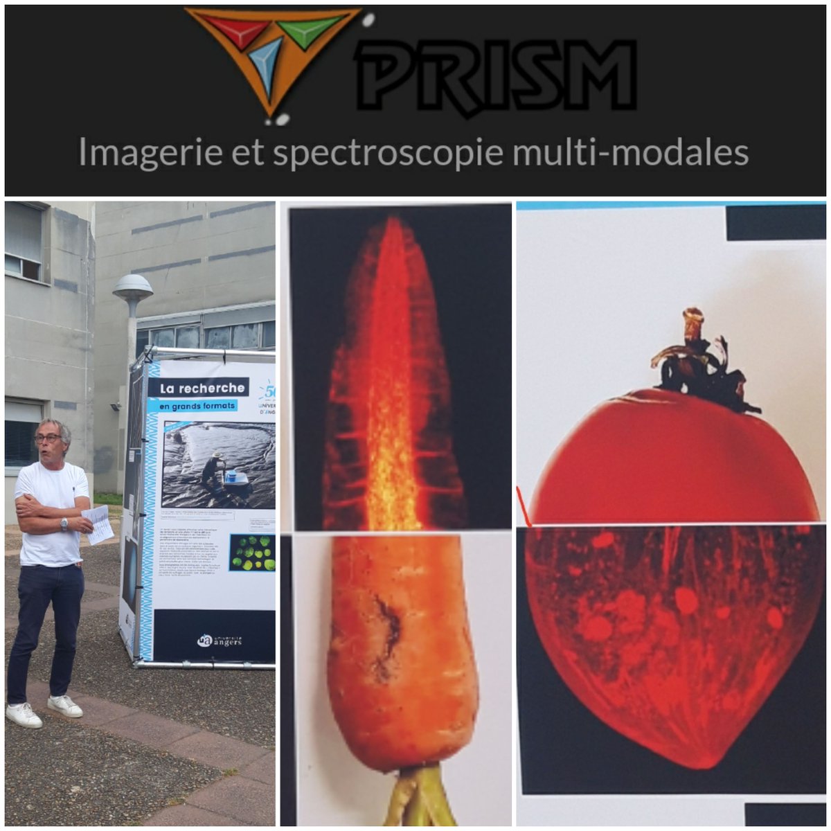 Plateforme Recherche Imagerie Spectroscopie- PRISM tweet media