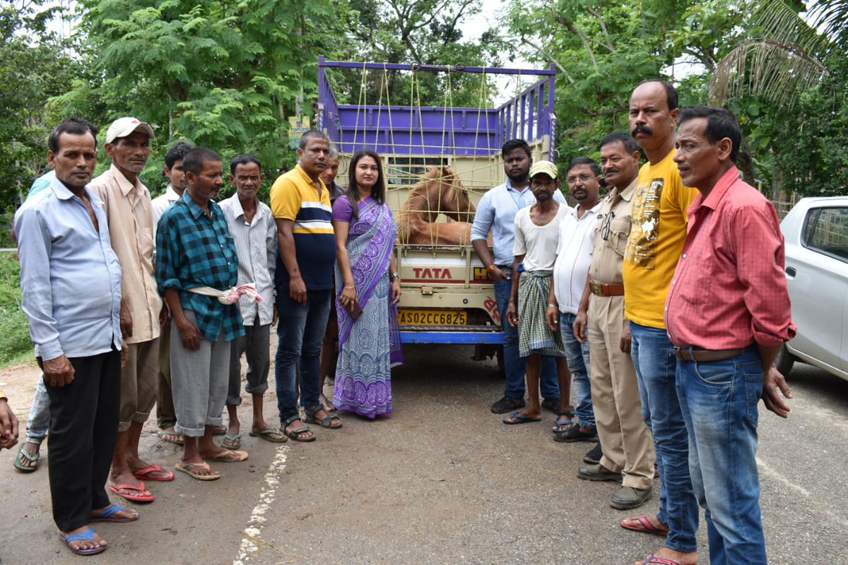FoundationUci's tweet photo. Our team rescued this horse that was stranded in Nagaon and taken to Ghy by our members with the help of @nagaonpolice and PFA. 
It is now at the PFA, Guwahati shelter and being taken care. Gratitude to PFA  @pfaindia @PetaIndia @Manekagandhibjp @pallablochandas @gpsinghips https://t.co/l5upysNTtI