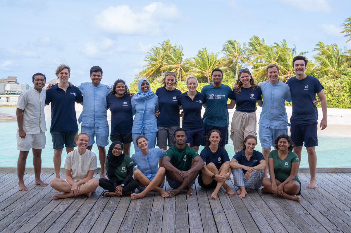 Alicia Shephard tweet media