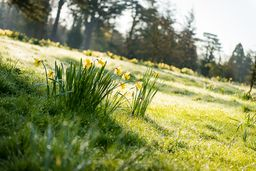Pre race info for the hoohaah Barr Ellison 10k at Ickworth has been sent out to all runners via email or can be found here hoohaah.co.uk/ickworth-2022-…