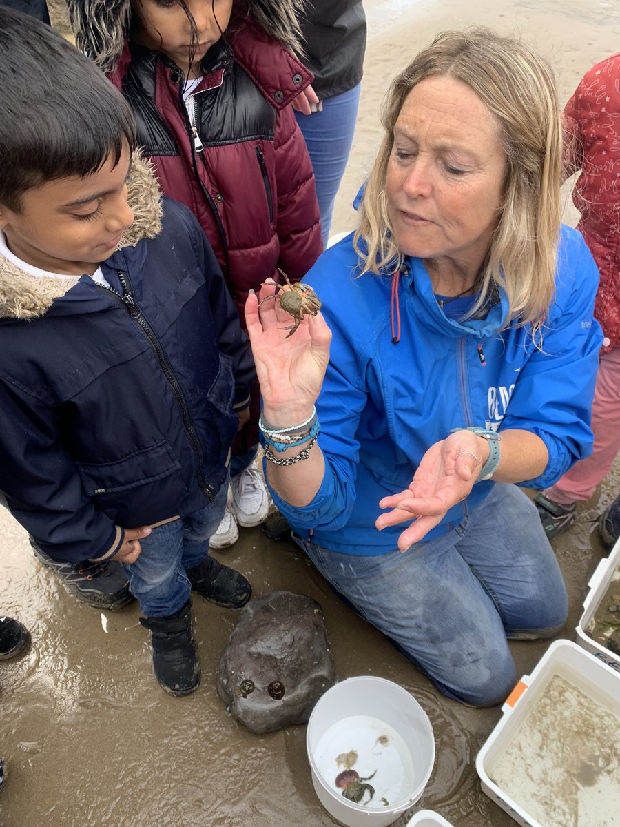 ReceptionMoon's tweet photo. Emma taught us so much about each sea creature! We even got to see a female crab carrying her eggs under her tail! 🦀 https://t.co/i5Sy1eD3E7