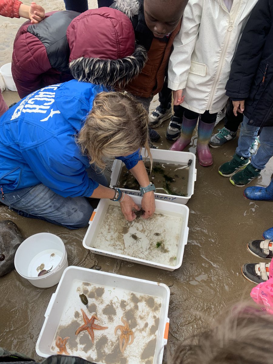ReceptionMoon's tweet photo. Emma taught us so much about each sea creature! We even got to see a female crab carrying her eggs under her tail! 🦀 https://t.co/i5Sy1eD3E7