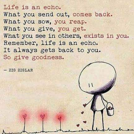 western_miss's tweet photo. Reap what you sow #GiveGoodness https://t.co/rzgl5Ybe7S