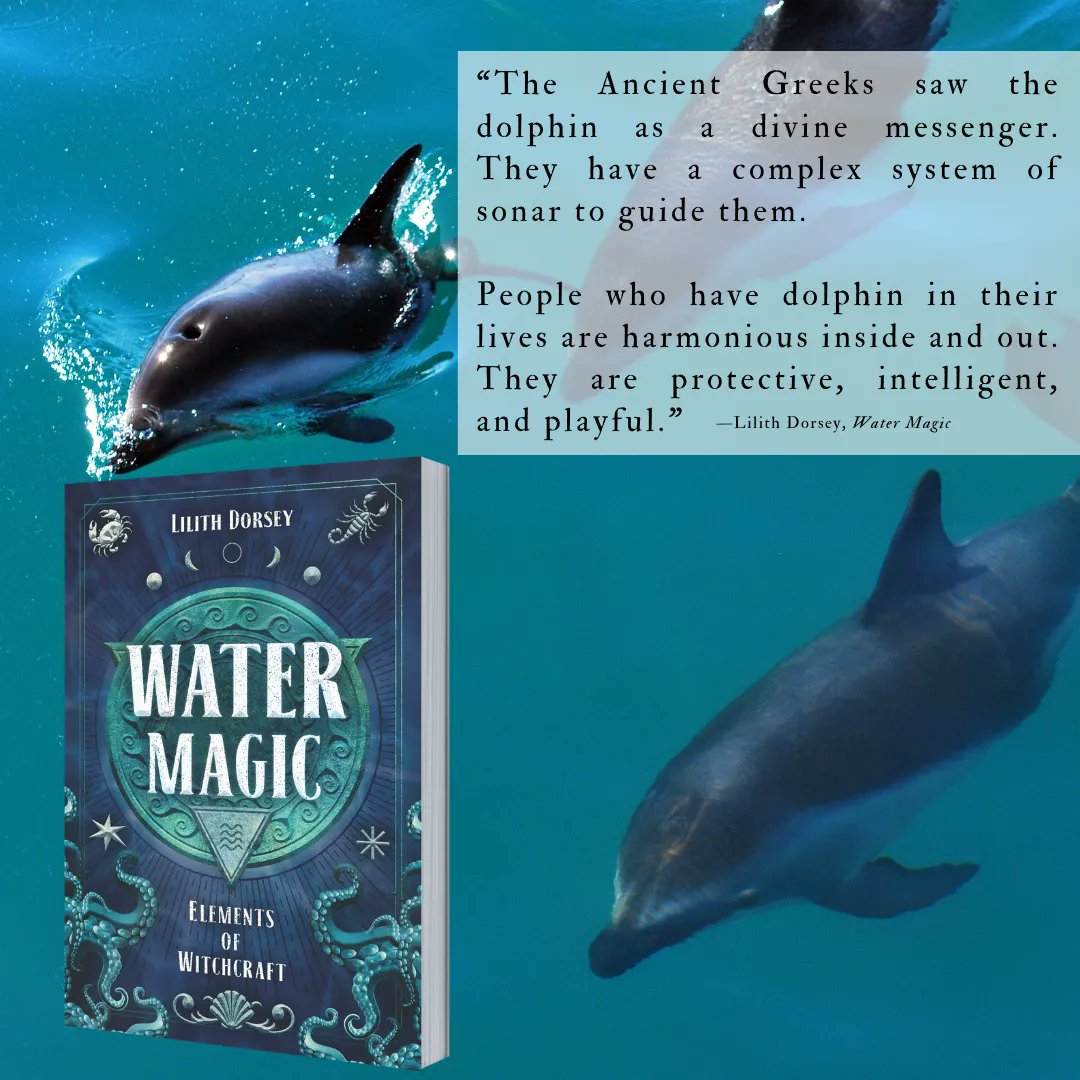 LilithDorsey's tweet photo. Dive deep into the world of dolphins, turtles, manatees and more in my book #WaterMagic https://t.co/QCgTRzRcvR https://t.co/XLXcLugBoP
