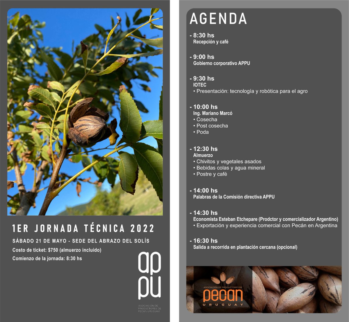 PECANuy's tweet photo. 🎗 Jornada técnica y encuentro de productores de #nueces #Pecan del Uruguay 

El 21 de mayo volvemos a juntarnos!!! 
Aquí más información 👇🏼

🌱Cosecha, post cosecha y poda. https://t.co/EdN9Zu26gV