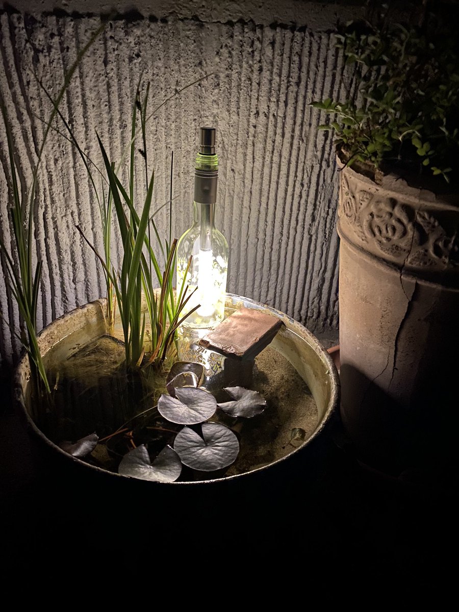 Small enchanting place in the garden 🪄 #bottlelight