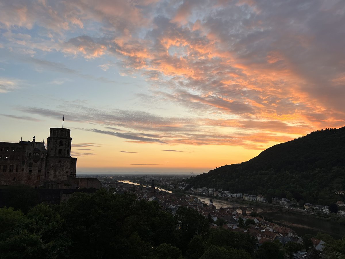 Sanzhar Aitbay tweet media