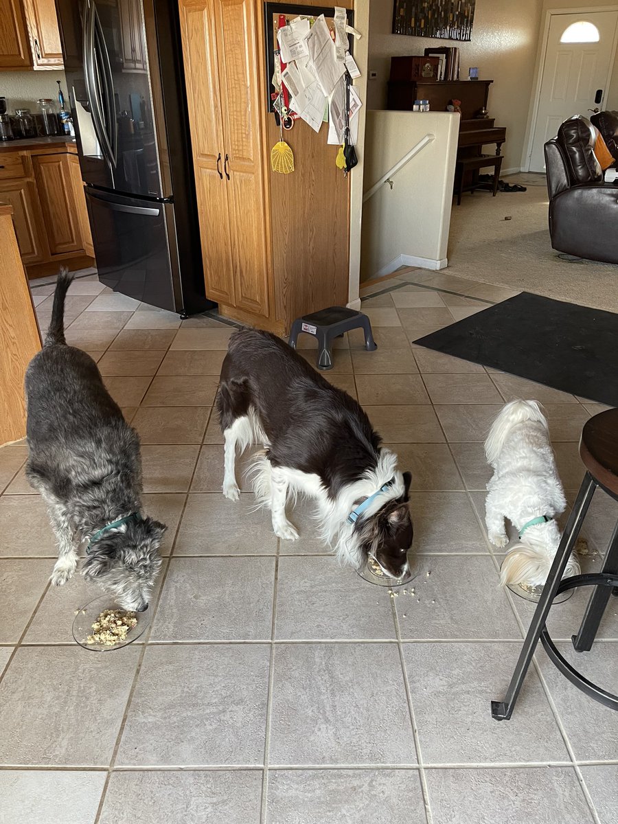 Sonya Harris tweet media