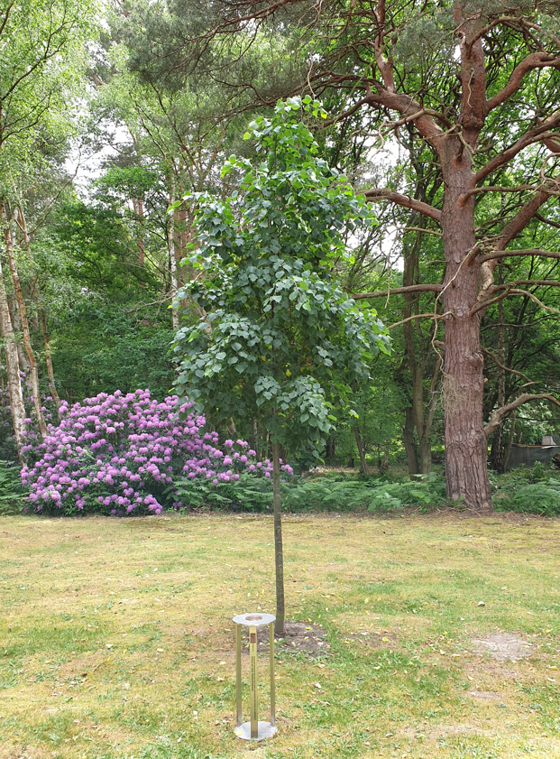 gerry_manolas's tweet photo. @RehakLubomir @SlovakiaMFA @SlovakiaUNNY @SlovakiaHolySee @TofP_official @UN @RefugeesMedia @EUinRussia @LondnDIPLOMAT Sending peaceful prayers and energy from Brookwood and the 13th Tree of Peace to Ukraine and Slovakia. https://t.co/0J5ZfngO3I