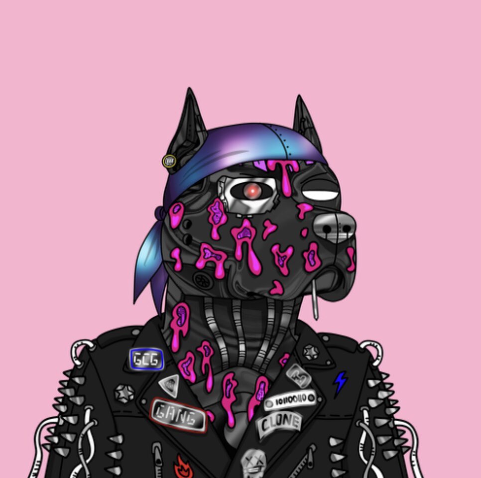 Rolling the dice has treat me well. Pumped how this dog clone turned out. Let’s go #GangGang <a href="/GutterCatGang/">Gutter Cat Gang</a>