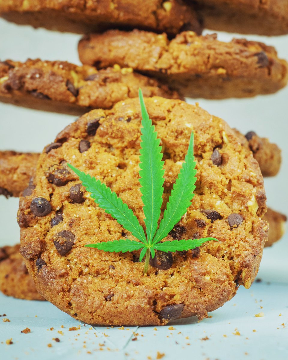WeedOrganic's tweet photo. Pair some chocolate chip cookies with your organic weed! 🌿🍪  https://t.co/0eLva2fc5I #cookies #chocolatechip #organicweed #organiccannabis #isyourweedorganic https://t.co/5m4VfCTXtP