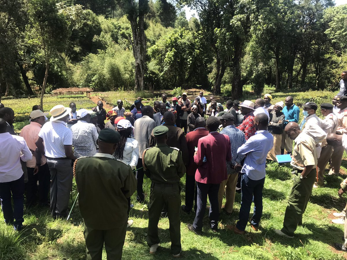 More than 1 million tree seedlings have been grown &amp;  are ready for planting in Kaptagat forest  by  Community Forest Association, through the support of the <a href="/Environment_Ke/">Ministry of Environment, Climate Change & Forestry</a> &amp; other partners.<a href="/ClimatActionKe/">Kenya Climate Action</a> <a href="/Meshac_Kiplagat/">Meshack Kiplagat 🌍🌲</a> <a href="/CEO_WWFKenya/">Mohamed Awer</a> <a href="/WWF_Kenya/">WWF-Kenya</a>