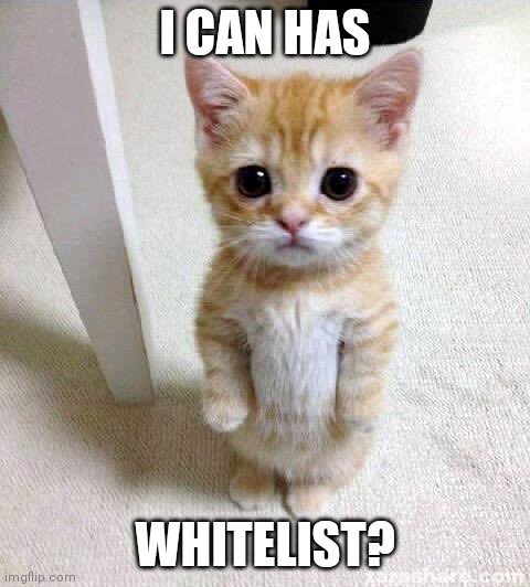 Elly0n ☢️ ❤️ Memeland tweet media