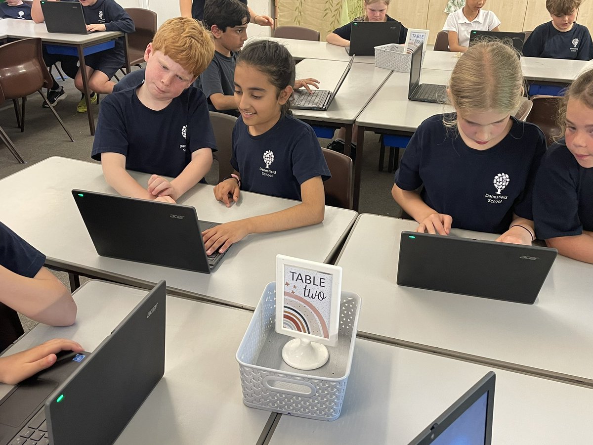 Danesfield Year 5 tweet media