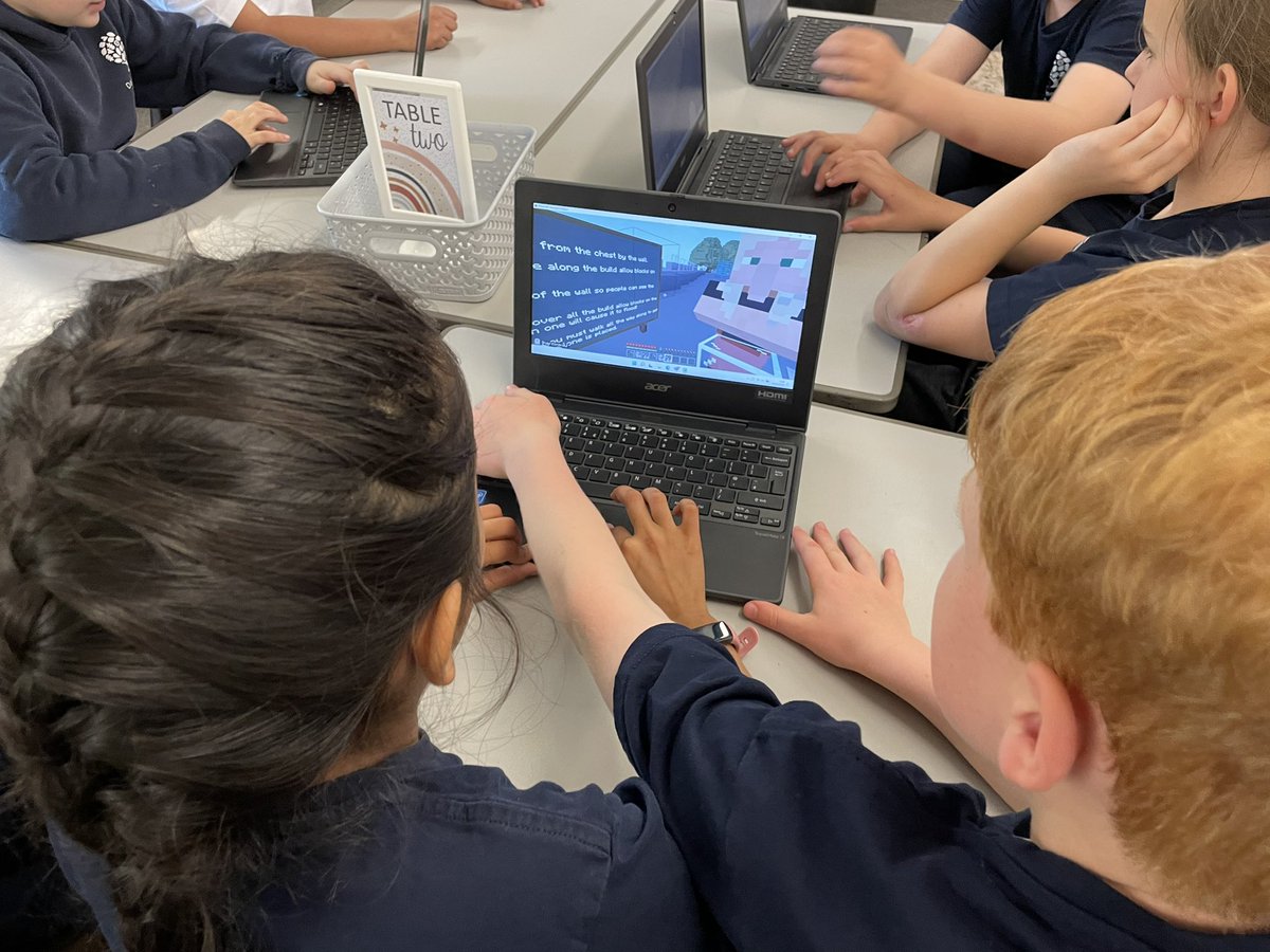 Danesfield Year 5 tweet media