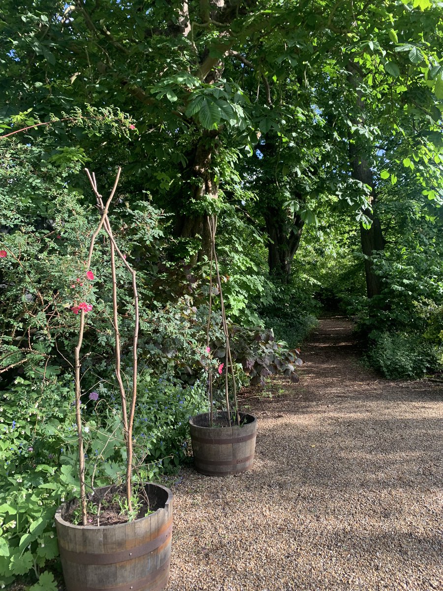 Megan640's tweet photo. A lovely team trip to @LondonNGS Lambeth Palace garden opening 💛 a huge thank you to everyone at the @NGSOpenGardens for your support of @mariecurieuk 🌼 https://t.co/SMtLjlo3O3