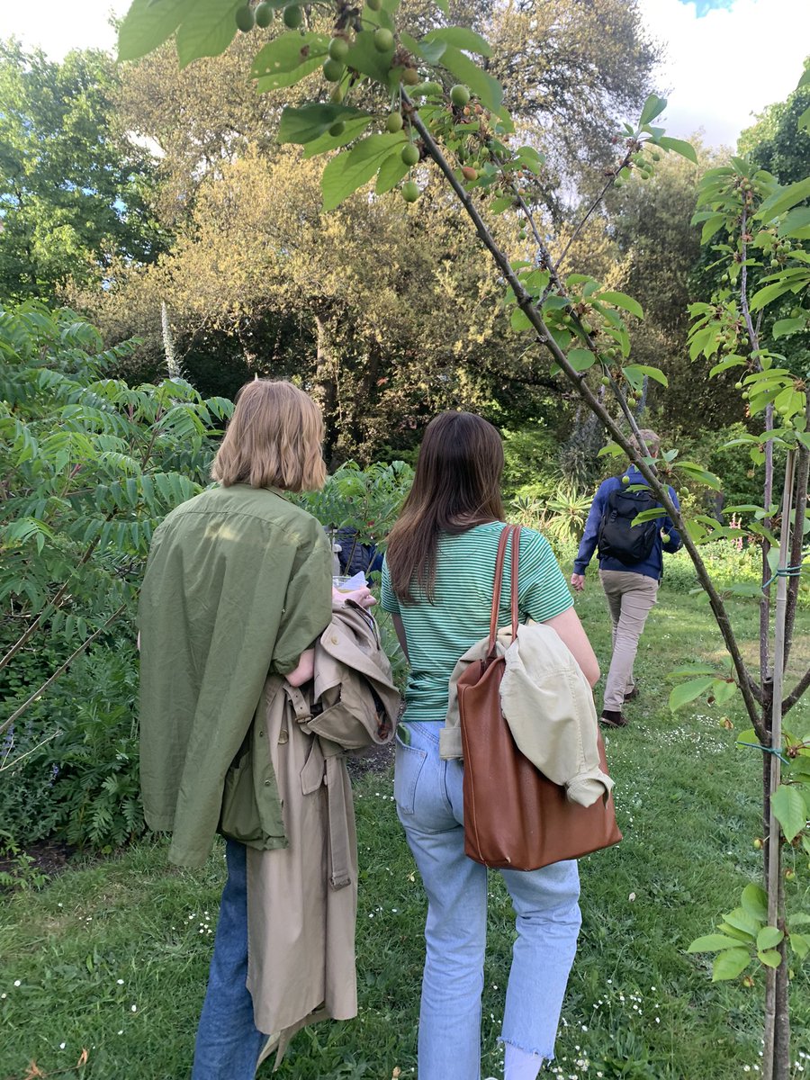 Megan640's tweet photo. A lovely team trip to @LondonNGS Lambeth Palace garden opening 💛 a huge thank you to everyone at the @NGSOpenGardens for your support of @mariecurieuk 🌼 https://t.co/SMtLjlo3O3