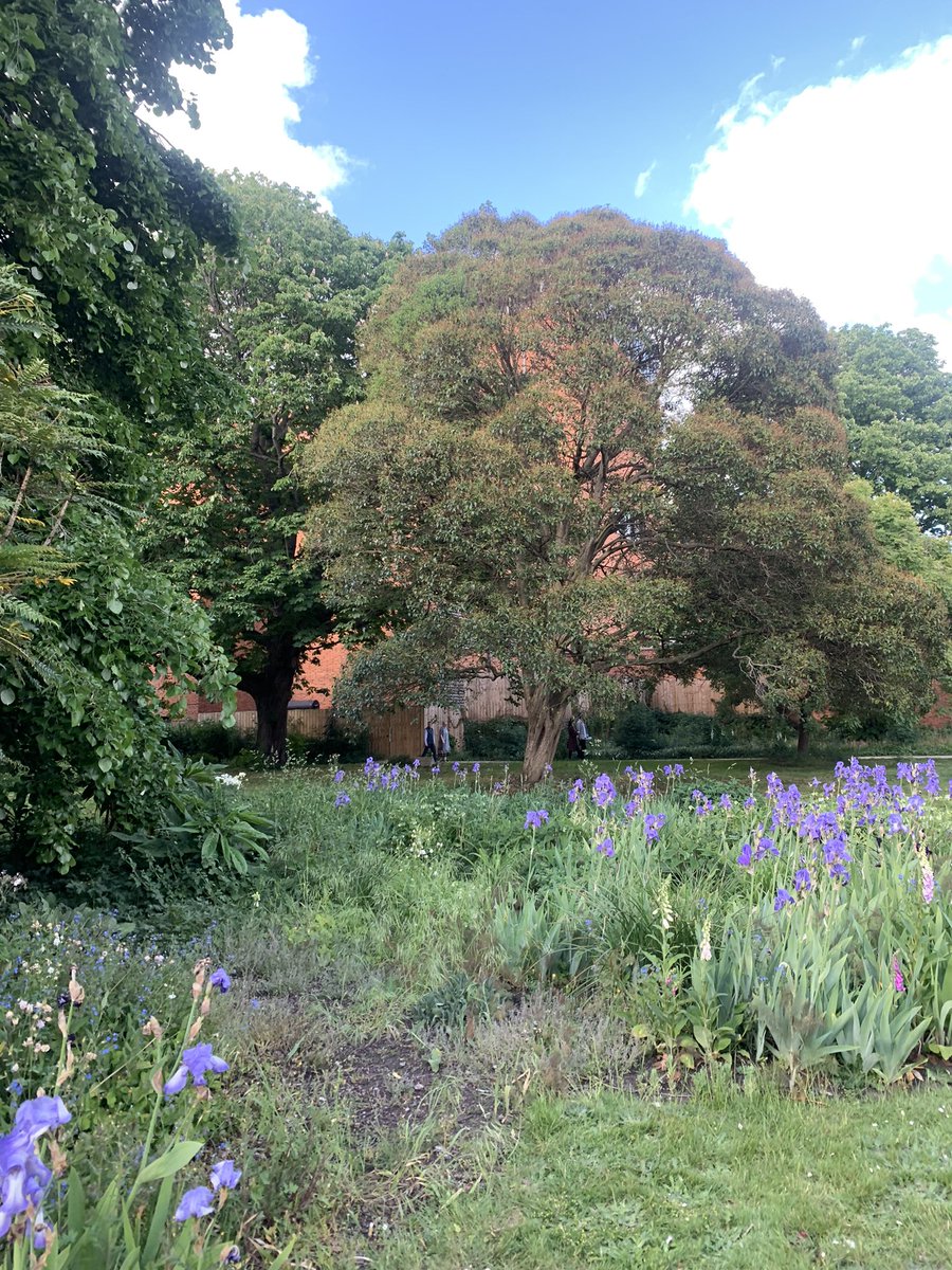 Megan640's tweet photo. A lovely team trip to @LondonNGS Lambeth Palace garden opening 💛 a huge thank you to everyone at the @NGSOpenGardens for your support of @mariecurieuk 🌼 https://t.co/SMtLjlo3O3