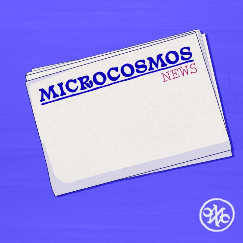 Microcosmos ☁ tweet media