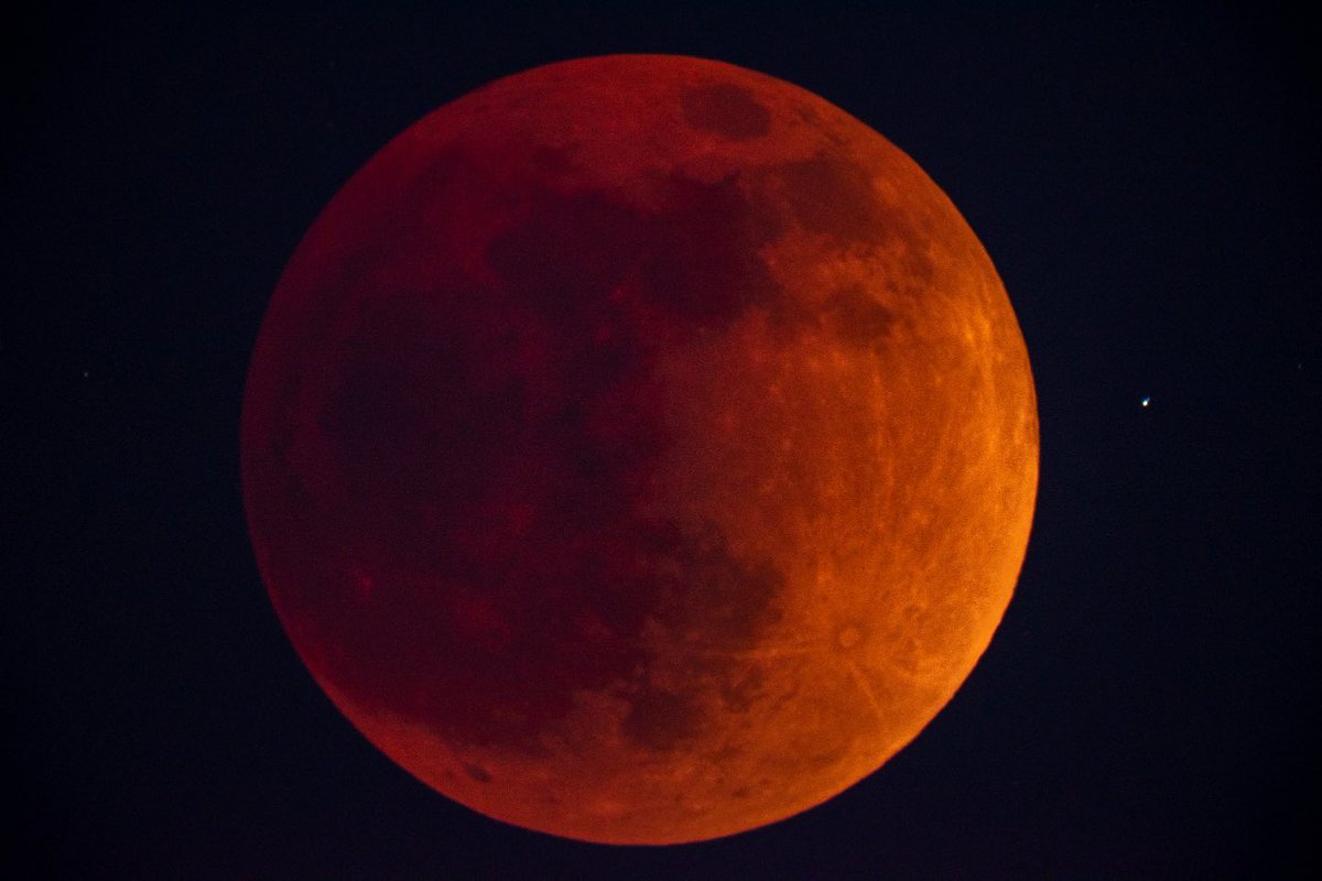 Ready for Blood, Moon Platoon? #AMC #GME #bloodmoon