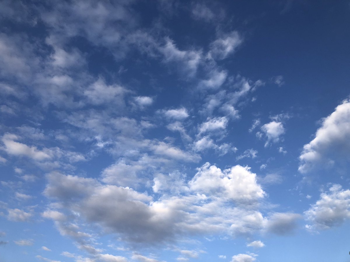 Laramccrae77's tweet image. Always looking up but grounded💙

Same day, different perspective💙

#prettyclouds 
#gratitude 
#embracechange 
#flywithme 
#littlebird ✨