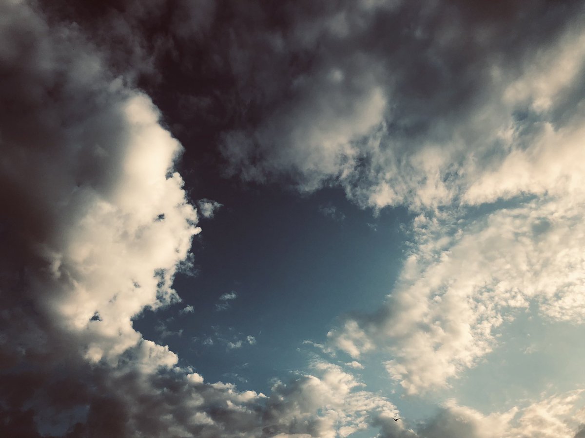 Laramccrae77's tweet image. Always looking up but grounded💙

Same day, different perspective💙

#prettyclouds 
#gratitude 
#embracechange 
#flywithme 
#littlebird ✨