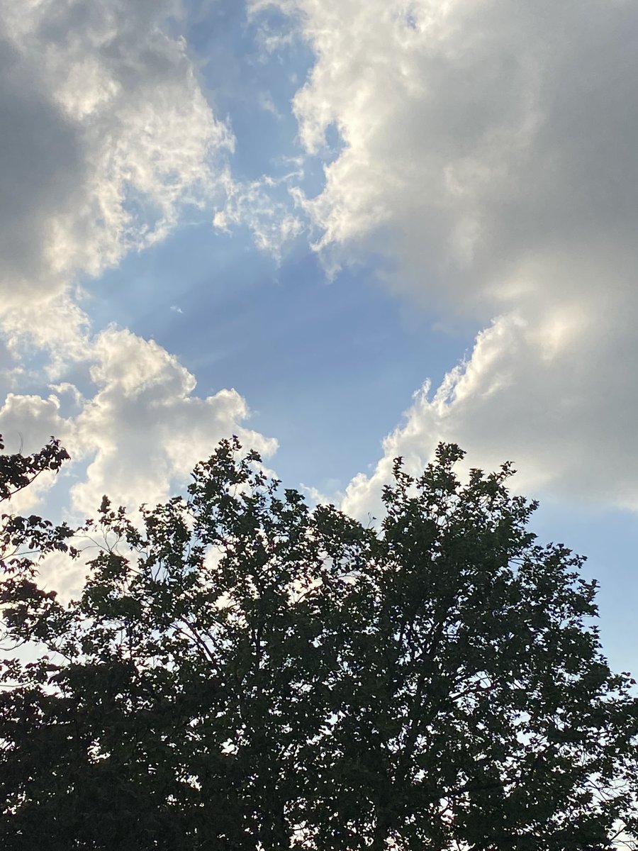 excellenttouch's tweet photo. Reminds me of a song #loveisintheairtonight https://t.co/Lnh9rn0yBN