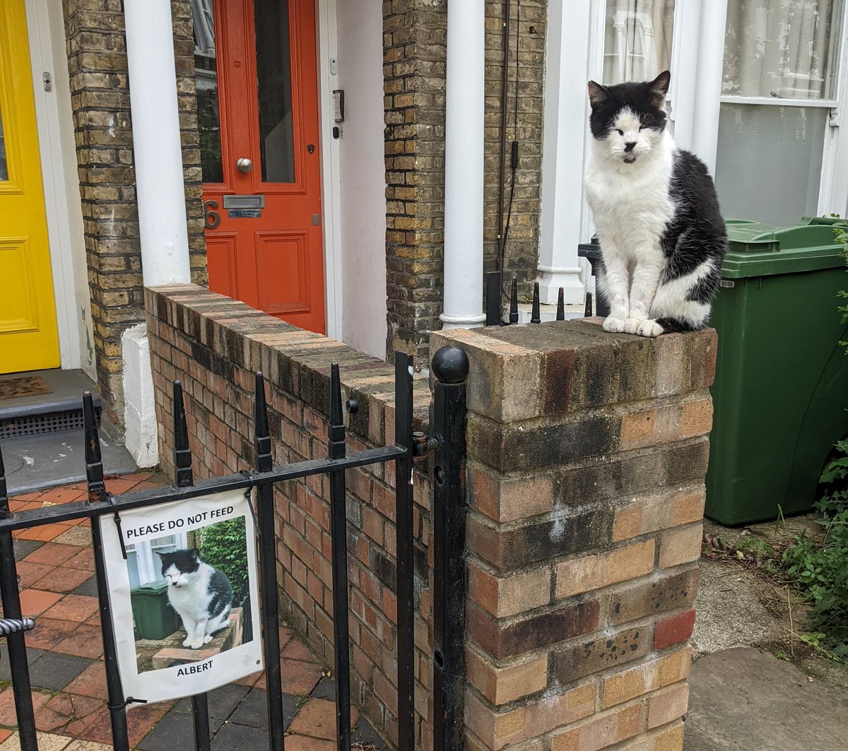 Teri Doubtfire (she / her) tweet media