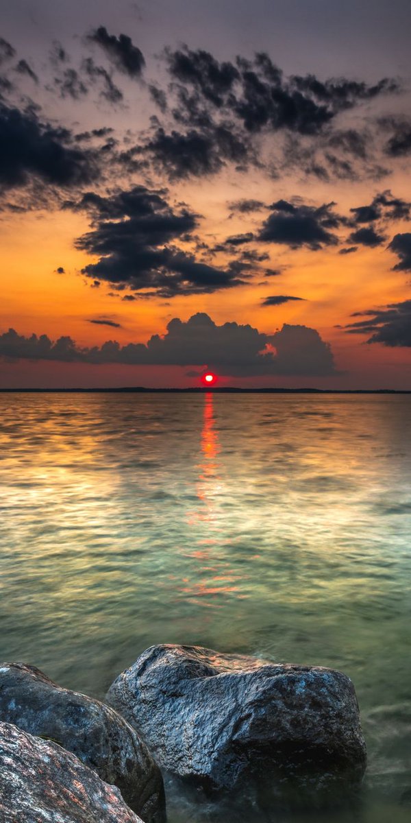 Aleksan52094351's tweet photo. Good evening!🧡 https://t.co/OWwDCkCvWK
