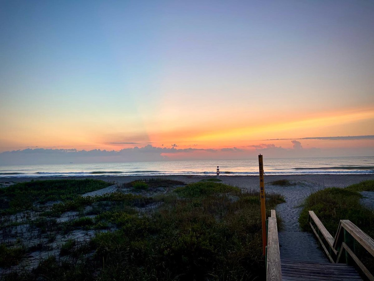 JoelBCohen's tweet photo. Sea turtle season and of course the temperature is firing up down here in Florida. Here is a few nets from last night. Time to make sure the beaches are clean, flat, and dark!
#seaturtle #seaturtles #loggerhead #loggerheadseaturtles #carettacaretta #nesting #nestingseason https://t.co/OzlvsO4Llp