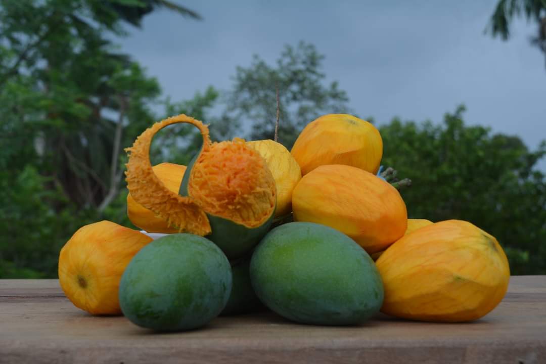 bymasumreza's tweet photo. #RupaiFood #RupaiFruit #Rupai #Mnago #Fruit https://t.co/cOmQhk3T39
