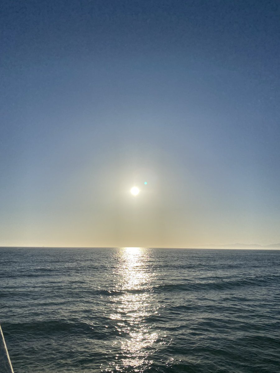 yesmeadowz's tweet photo. eclipsed https://t.co/4VSiWJrWiP