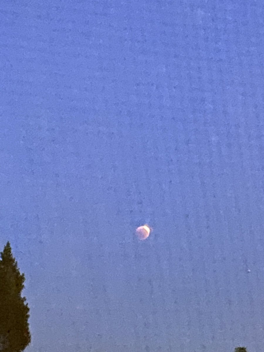yesmeadowz's tweet photo. eclipsed https://t.co/4VSiWJrWiP