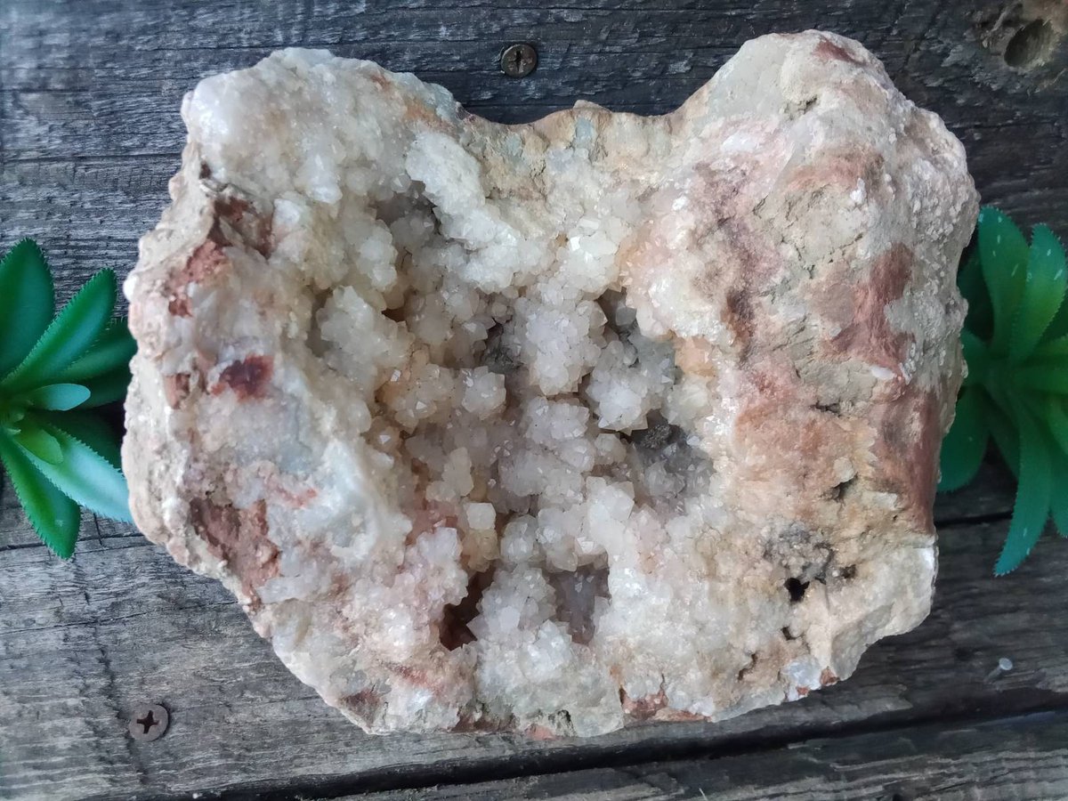 Interdi35425905's tweet photo. Excited to share the latest addition to my #etsy shop: Kentucky Terminated Quartz Crystal Cluster Geode Display Rock Crystals Minerals Gem Geodes Unique Nice Thick Clusters Points #crystals #geode #geodes #crystalhealing #displaystone #quartzclusters https://t.co/WPQxqE4fLp https://t.co/VKF9UUs9r6